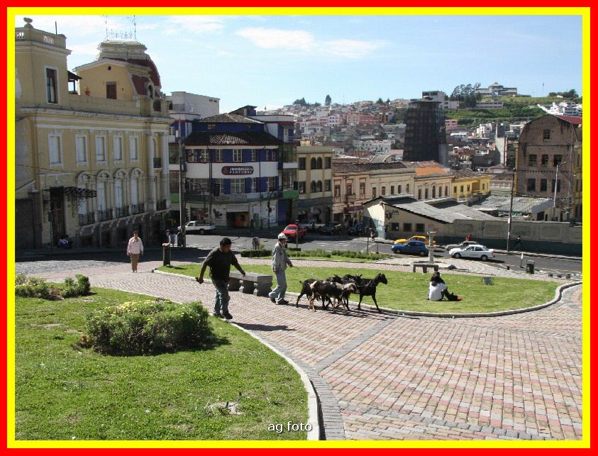 Ecuador 075_tn.jpg